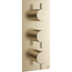 Crosswater MPRO inbouw thermostatisch douchekraan verticaal 2 stopkranen geborsteld messing (goud) SW209258