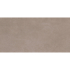 Royal plaza Plaster vloertegel 30x60 cm taupe SW397076