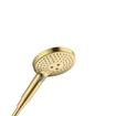 Hansgrohe Raindance select s handdouche 120 3jet EcoSmart 9L/min pol gold optic SW528738