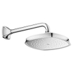 GROHE Grandera Douchearm - wandarm 29cm - vierkante rozet - chroom/goud 0437899