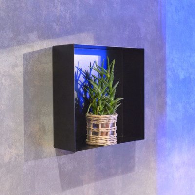 Looox Colour BoX inbouwnis - 15x30x10cm - RVS geborsteld