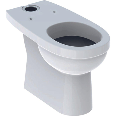 Geberit 300 Comfort duoblokpot-49 verhoogd +6cm diepspoel 35.5x69cm AO wit