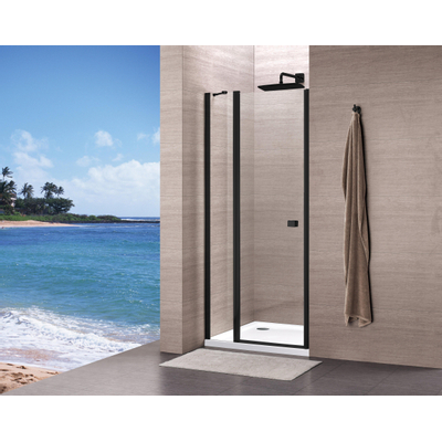 Royal plaza Hendra draaideur 90x195cm vast segment helder glas met clean coating matzwart profiel