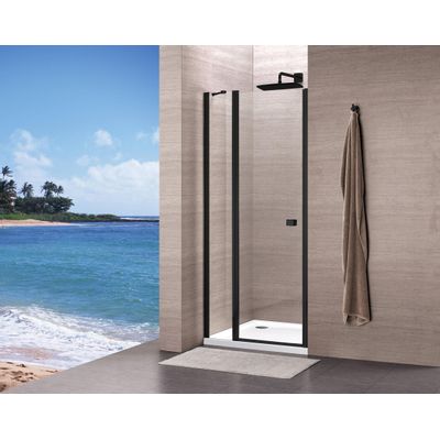 Royal plaza Hendra draaideur 90x195cm vast segment helder glas met clean coating matzwart profiel