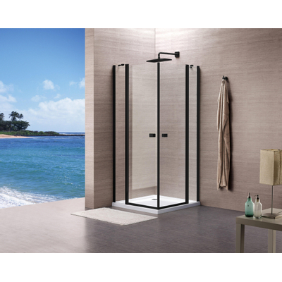 Royal plaza Hendra draaideur 90x195cm vast segment helder glas met clean coating matzwart profiel