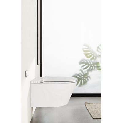 Royal plaza Juglans Douche WC Randloos met fohn en ladydouche Glans Wit