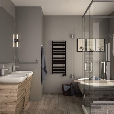 Zehnder Zeta elektrische designradiator - 160x60cm - 750W - mat zwart (RAL9205)