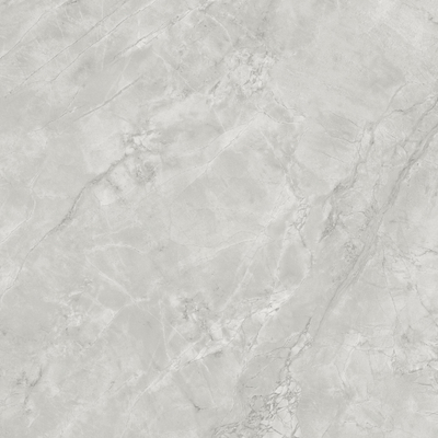 Atlas Concorde Marvel X wand- en vloertegel - 120x120cm - 9mm - gerectificeerd - Porcellanato - grey cloud (Grijs)