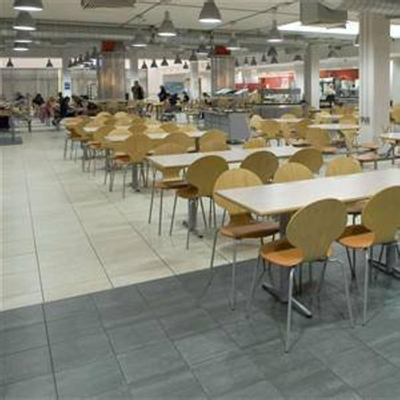 Mosa Terra Maestricht Tegelstroken 10x60cm 12mm gerectificeerd R10 porcellanato Koel Porseleinwit