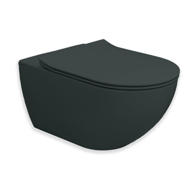 Royal Plaza Belbo wandcloset - 55cm - cycloneflush - zonder spoelrand -schoolbord