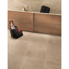 Fap Ceramiche wand- en vloertegel - 60x60cm - 10mm - Vierkant - gerectificeerd - Natuursteen look - Taupe mat SW88624