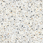 Paul & Co Ceramiche Terrazzo vloertegel - 25x25cm - 14mm - Vierkant - Casale graniglia bianco mat SW159327