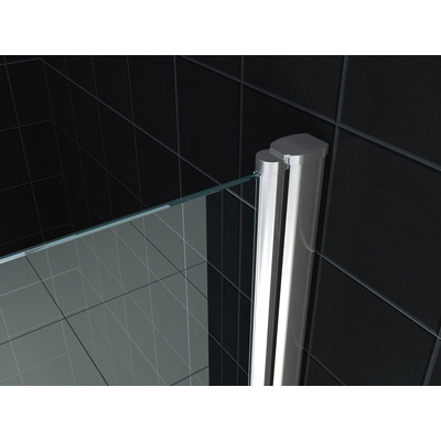 Wiesbaden Lagos pendeldeur in nis 800 x 2000 x 6 mm nano helder glas/chroom