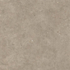 Italgraniti Silver grain Vloer- en wandtegel 80x80cm 9.5mm gerectificeerd porcellanato Taupe SW498133