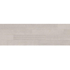 Italgraniti Silver grain Decortegel 20x120cm 9.5mm gerectificeerd porcellanato Grey SW497143