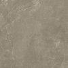 Beste Koop Harmony Vloer- en wandtegel 100x100cm 8.5mm gerectificeerd R10 porcellanato Taupe SW543593