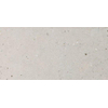 Italgraniti Silver grain Vloer- en wandtegel 60x120cm 9.5mm gerectificeerd porcellanato Grey SW497766