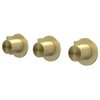 IVY Tribe Afbouwdeel - voor Inbouwthermostaat - 3 stopkranen - symmetry - ronde rozetten - RVS316 - geborsteld mat goud PVD SW1030963