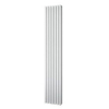 Plieger Siena designradiator verticaal dubbel 1800x318mm 1096W zwart 7253209