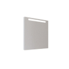 Allibert Atlas Spiegel 60x70cm met verlichting aluminium SW734083