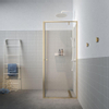 Sealskin Contour Draaideur met zijwand 90x90x200cm 6mm helder veiligheidsglas met antikalklaag Goud geborsteld SW799419