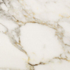 Italgraniti Marble Experience Vloer- en wandtegel 60x60cm 9.5mm gerectificeerd porcellanato Calacatta SW368691
