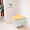 MONDIAZ LAVIE wandclosetpack - 36x53cm - diepspoel - rimless - Greey (grijs) - softclose - quick-release - toiletzitting - Ocher (geel) SW1208664