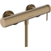 Hansgrohe Tecturis douchekraan opbouw brushed bronze SW918590