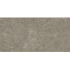 SAMPLE Atlas Concorde Marvel Meraviglia Vloer- en wandtegel - 60x120cm - 9mm - gerectificeerd - Porcellanato - Grigio Elegante (Grijs) SW1170850