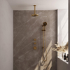 Brauer Gold Edition Regendoucheset inbouw - hoofddouche 20cm - plafondarm 20cm - 3 gladde knoppen - handdouche rond 3 standen - PVD - geborsteld goud SW547663