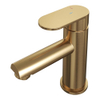 Brauer Gold - Edition Wastafelmengkraan opbouw - laag - model C - PVD - geborsteld goud SW543207