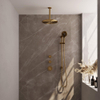 Brauer Gold Edition Regendoucheset inbouw - hoofddouche 30cm - plafondarm 20cm - 3 gladde knoppen - handdouche rond 3 standen - PVD - geborsteld goud SW547657