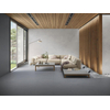 Cifre Ceramica Norwich wand- en vloertegel - 60x60cm - gerectificeerd - Betonlook - Antracite mat (antraciet) SW1122792