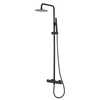 Wiesbaden 304 thermostatische regendoucheset opbouw mat zwart SW373491