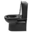 Differnz staand toilet Duoblok spoelrandloos met softclose en quickrelease zitting mat zwart SW705549