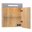 BRAUER Promise spiegelkast - 60x70x15cm -- met directe verlichting 1 rechtsdraaiende enkelzijdige spiegeldeur Forest Tan SW371680
