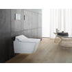 Duravit DuraSystem Elektronische bedieningsplaat voor wc's A2 230x10x157 mm SW471544