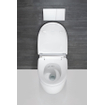 Geberit AquaClean Mera Comfort Douche WC - geurafzuiging - warme luchtdroging - ladydouche - softclose - glans/chroom afdekplaatje - glans wit GA13633