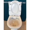 GO by Van Marcke Tina PACK staand toilet zonder spoelrand met reservoir met Geberit spoelmechanisme met dunne softclose en takeoff zitting wit SW288421