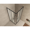 Wiesbaden Skyline hoekinstap cabine met 2 schuifdeuren 900 x 900 x 2000 x 8 mm nano helder glas/mat zwart SW440366