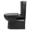 Differnz staand toilet Duoblok spoelrandloos met softclose en quickrelease zitting mat zwart SW705549