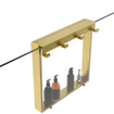 Fortifura Galeria schap met 4 haken - voor douchewand - 50x50x6.5cm - geborsteld messing (goud) SW1225238