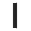 Plieger Siena designradiator verticaal dubbel 1800x318mm 1096W zwart grafiet (black graphite) 7253203