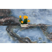 Douglas Jones Marbles Vloer- en wandtegel 60x120cm 10.5mm gerectificeerd porcellanato Navi SW543691
