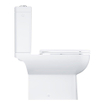 Grohe Start Edgewc pack m. duoblokpot diepspoel rimless inclusief reservoir m. zijaansluiting35.9x66.5x81.5cmm. closetzitting m. softclose en quick releasewit SW878147