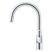 Grohe Start Flow Keukenkraan - 1-gats - hoge draaibare - uittrekbare uitloop - voorsprong 21.5cm - open greep - chroom SW924647