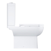 Grohe Start Edgewc pack m. duoblokpot diepspoel rimless inclusief reservoir m. inlaat onderzijde38.4x66.8x82.5cmm. closetzitting m. softclose en quick releasewit SW878153
