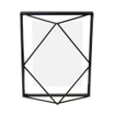 Umbra Prisma fotolijst 18x23x7cm staal zwart SW539255