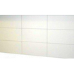 Basic Start wandtegel - 30x60cm - gerectificeerd - glans wit SW862807
