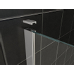 Wiesbaden swingdeur 80x200cm met vast paneel 8mm glas met nano coating SW69419